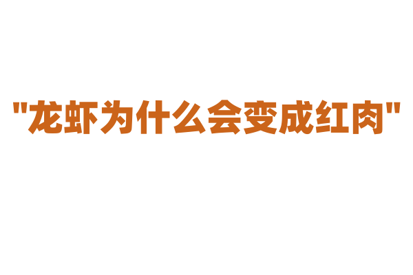 "龙虾为什么会变成红肉"